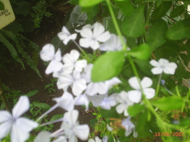 PIC 0224