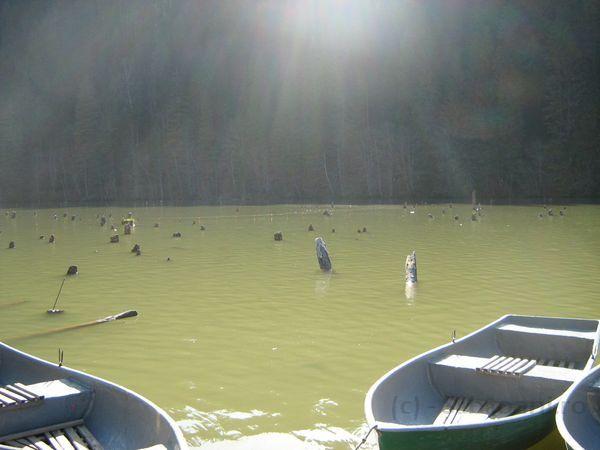 IMG_1114.jpg