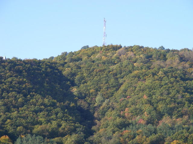 DSCF0056.JPG