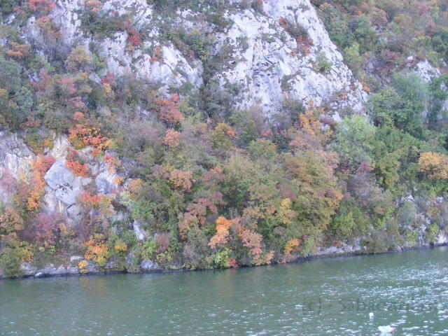 DSCF0175.JPG
