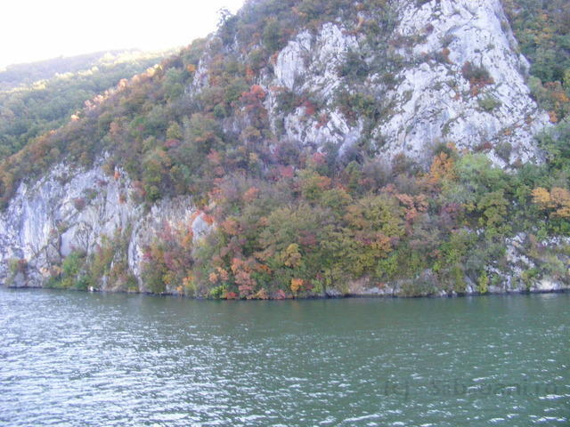 DSCF0177.JPG