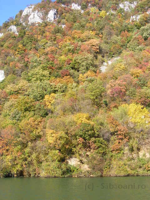 DSCF0225.JPG