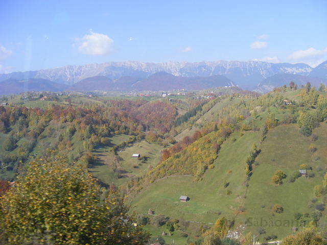 DSCF0269.JPG