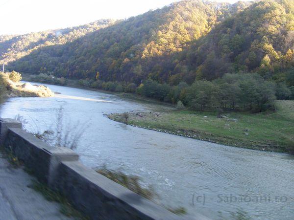 DSCF0232.JPG