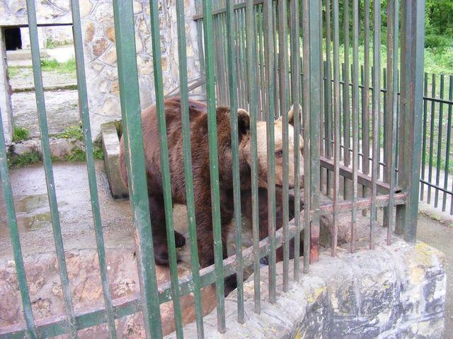 2008_05180075.JPG