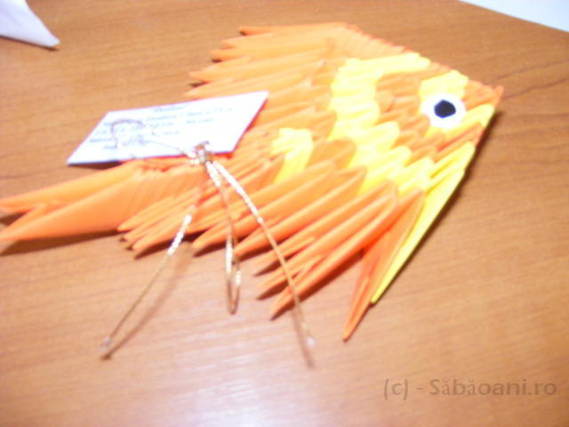 DSCF0042.JPG