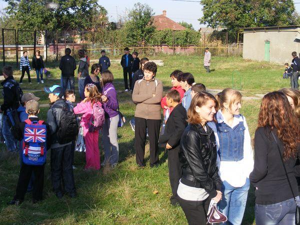 In asteptarea festivitatii 