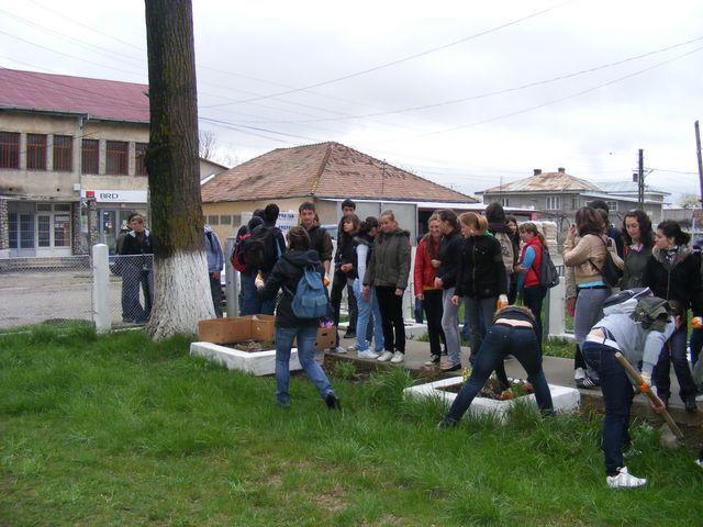 DSCF0020.JPG