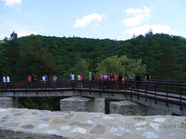 DSCF0137.JPG