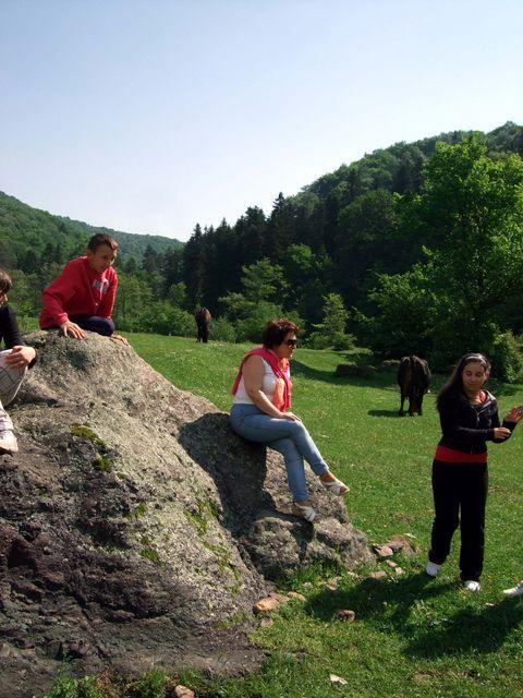 Pe drumul de la Sibiu spre Sabaoani