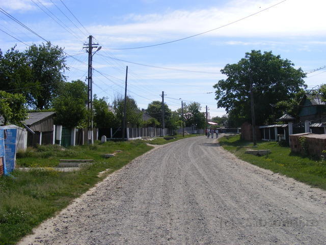 DSCF0082
