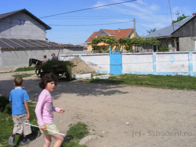 DSCF0093