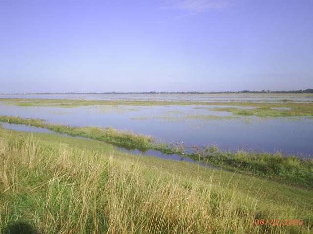 PIC 0562