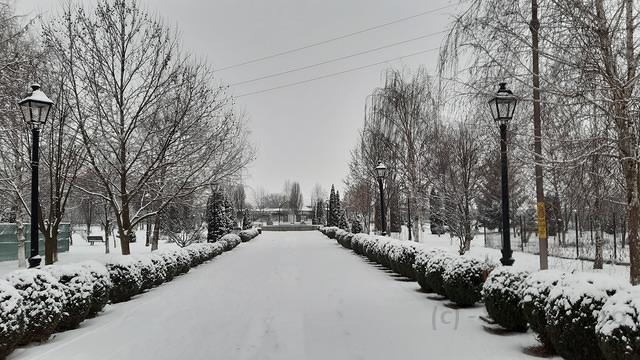 Parc Sabaoani Iarna