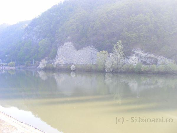 DSCF0474.JPG