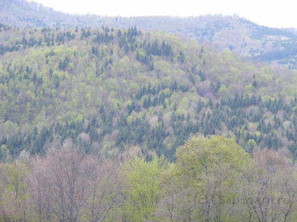 DSCF0725.JPG
