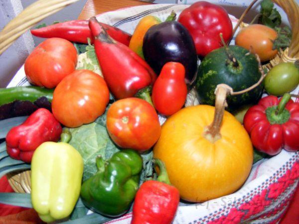 Expozitia de fructe si legume 