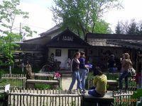 PIC_0080.JPG