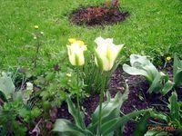 PIC_0189.JPG