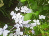 PIC 0224