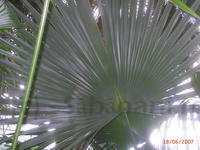 PIC 0236