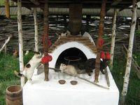 IMG_1227.jpg
