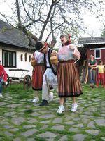 IMG_1286.jpg