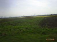 PIC_0142.JPG