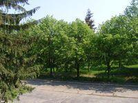 2008_05040275.JPG