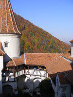 DSCF0175.JPG