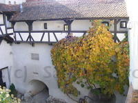 DSCF0208.JPG