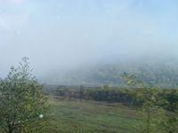 DSCF0153.JPG