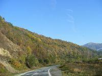 DSCF0167.JPG
