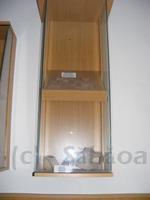 DSCF0027.JPG