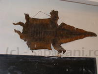 DSCF0082.JPG