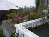 DSCF0189.JPG
