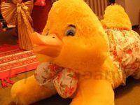 2008_12050043.JPG