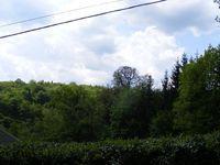 2008_05180071.JPG