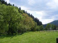 2008_05180184.JPG