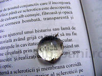 DSCF0061.JPG