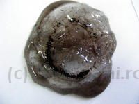 DSCF0073.JPG