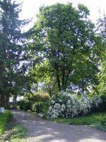 DSCF0030.JPG