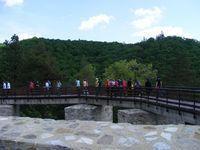 DSCF0137.JPG