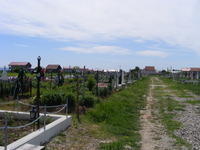 DSCF0210