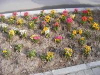 DSCF0028