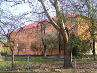 Universitatea