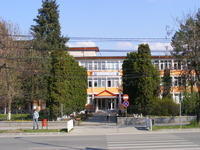 Universitatea