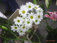PIC 0408