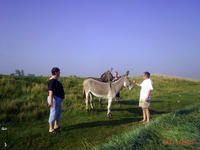 Les Dunes de Creances