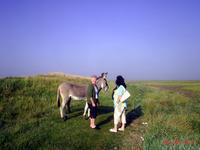 PIC 0128
